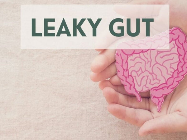 Are You Suffering From Leaky Gut?
