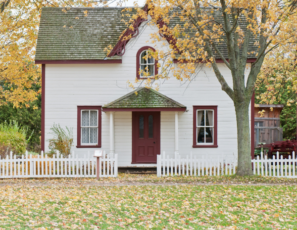 Are You Suffering From Hidden Mould Toxicity?