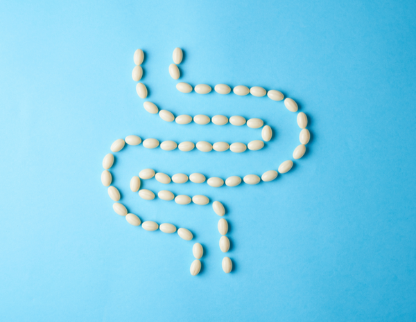 Gut Dysbiosis: The Hidden Cause of Many Common Health Conditions