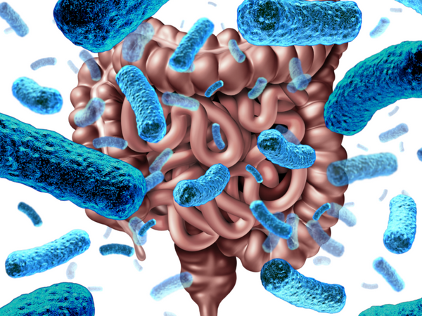 Do Autoimmune Diseases Start In The Gut?