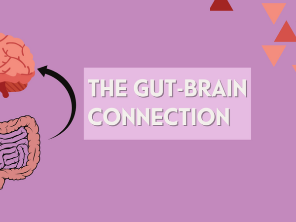 The Gut-Brain Connection