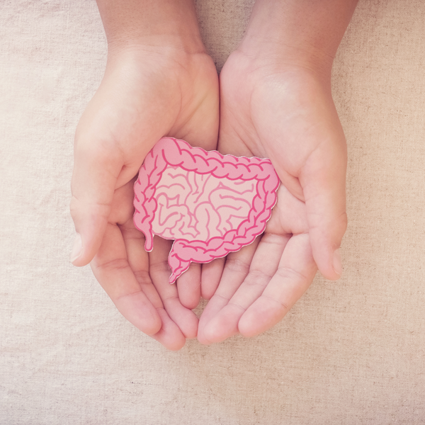 Do Autoimmune Diseases Start in the Gut