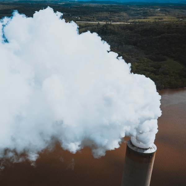 Why Skipping Detox Is No Longer an Option