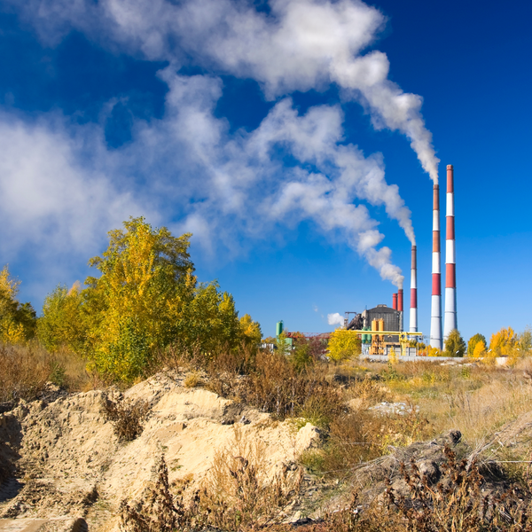 How To Avoid Toxic Build-Up That Leads To Disease