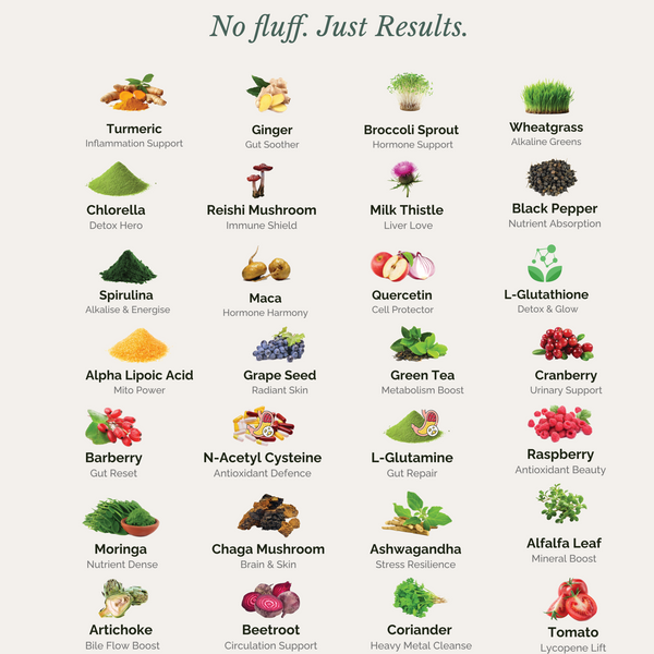 Meet the Five Hero Ingredients of Our Daily Supergreens