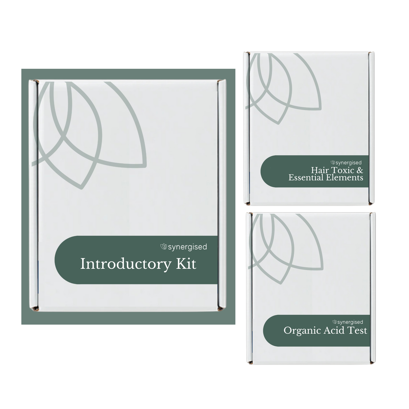 Introductory Kit