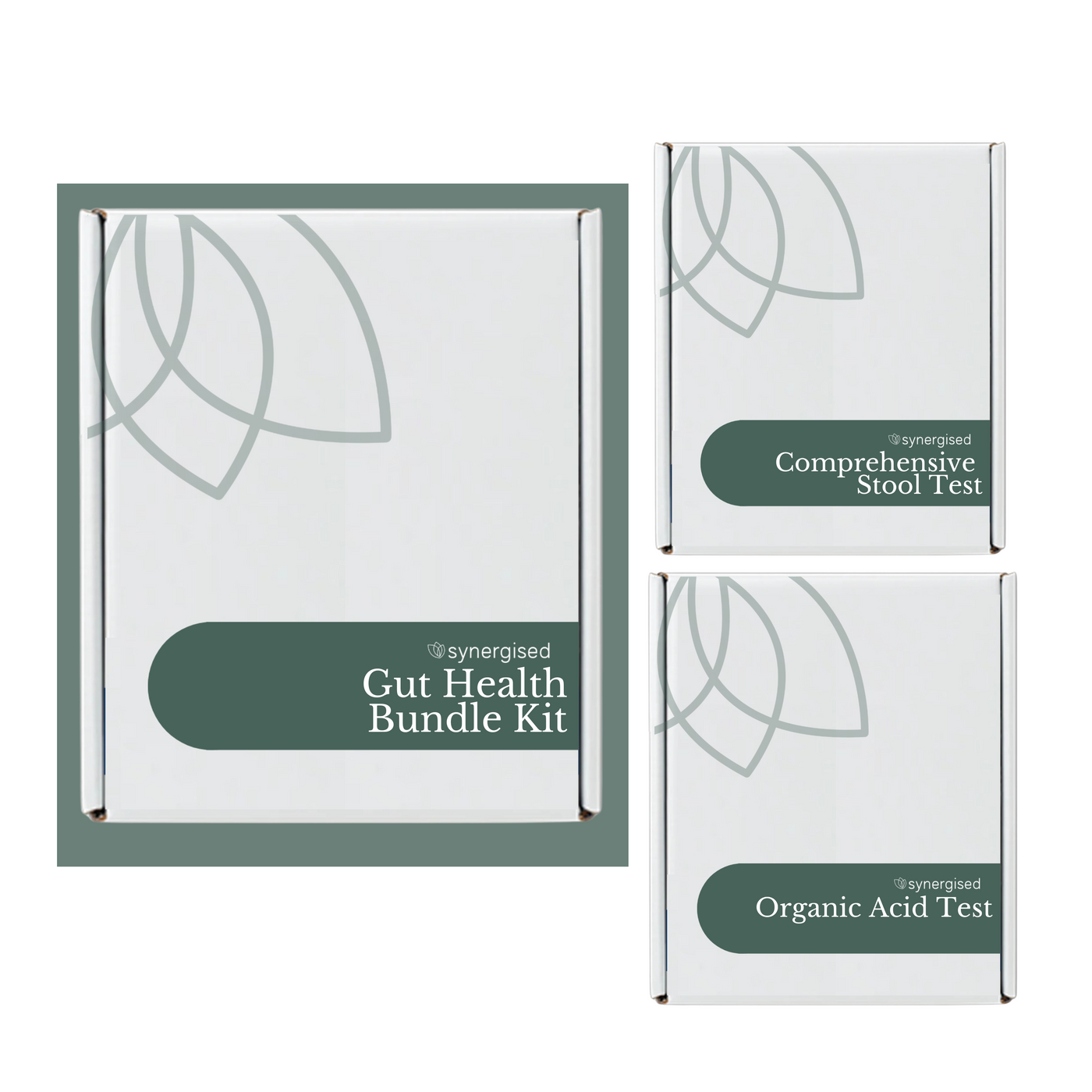 Gut Health Starter Bundle Kit